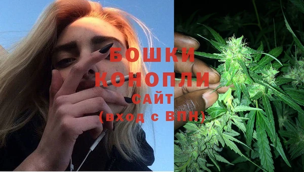 соль ск Пестово