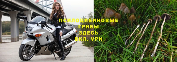 mdma Пересвет