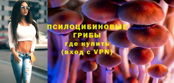 mdma Пересвет