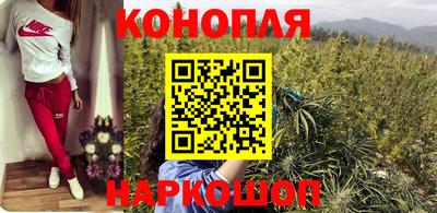 спиды Гусев