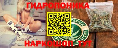 молекула духа Бийск