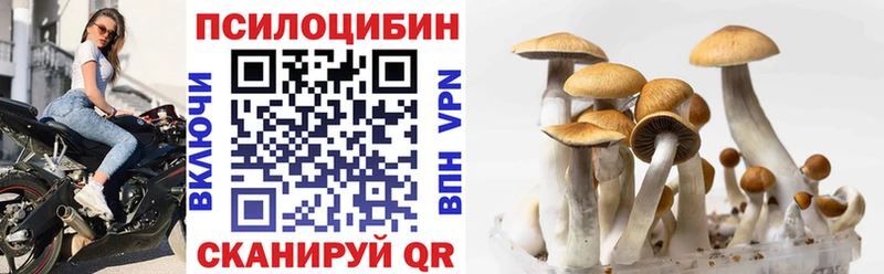 Галлюциногенные грибы мицелий  цена   Котельники 