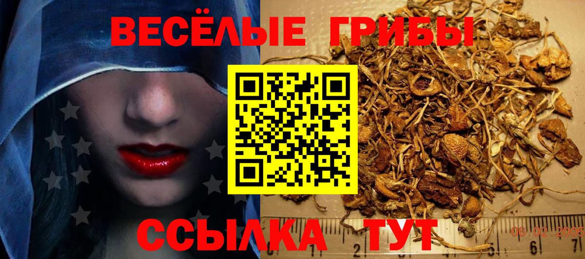 Псилоцибиновые грибы ЛСД Котельники